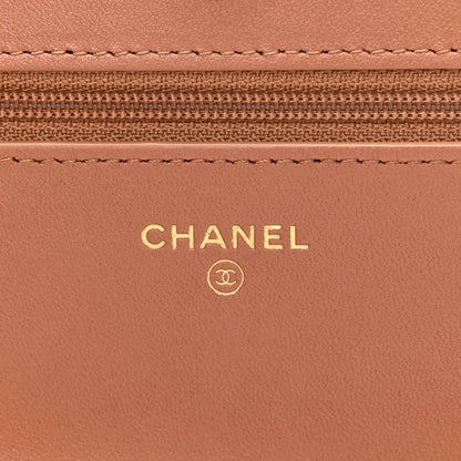 Chanel Lambskin Quilted Chanel 19 Wallet On Chain WOC Brown 6 of 12