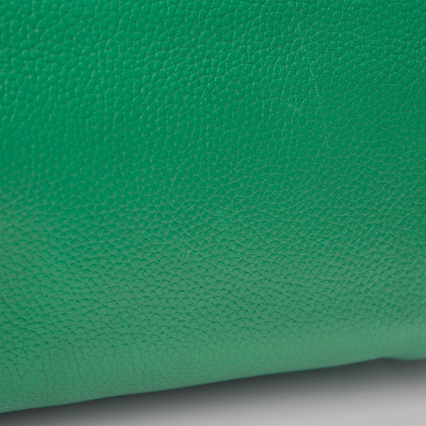 Pebbled Calfskin Large Skull Padlock Zip Around Tote Green