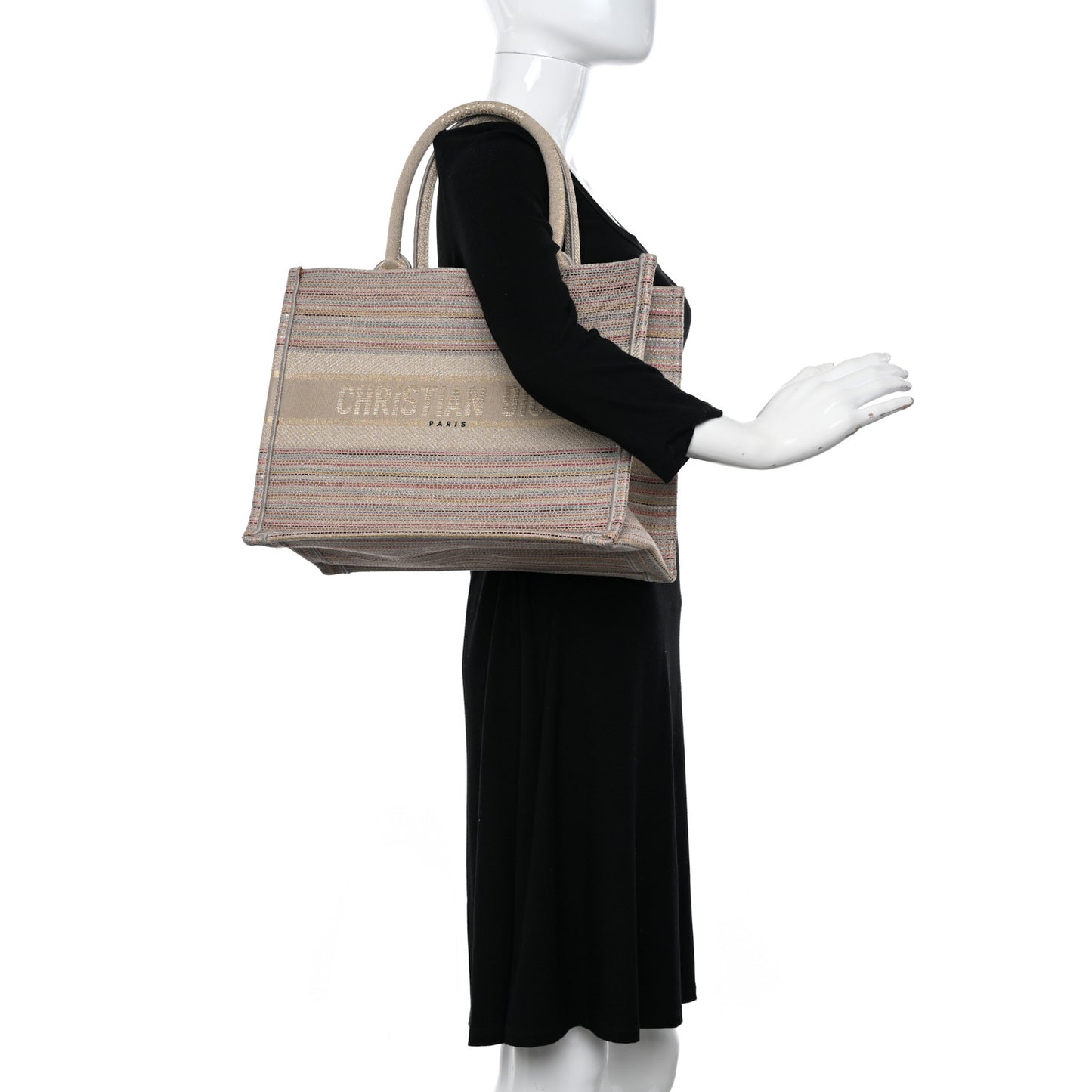 Canvas Embroidered Medium Stripes Book Tote Beige Multicolor