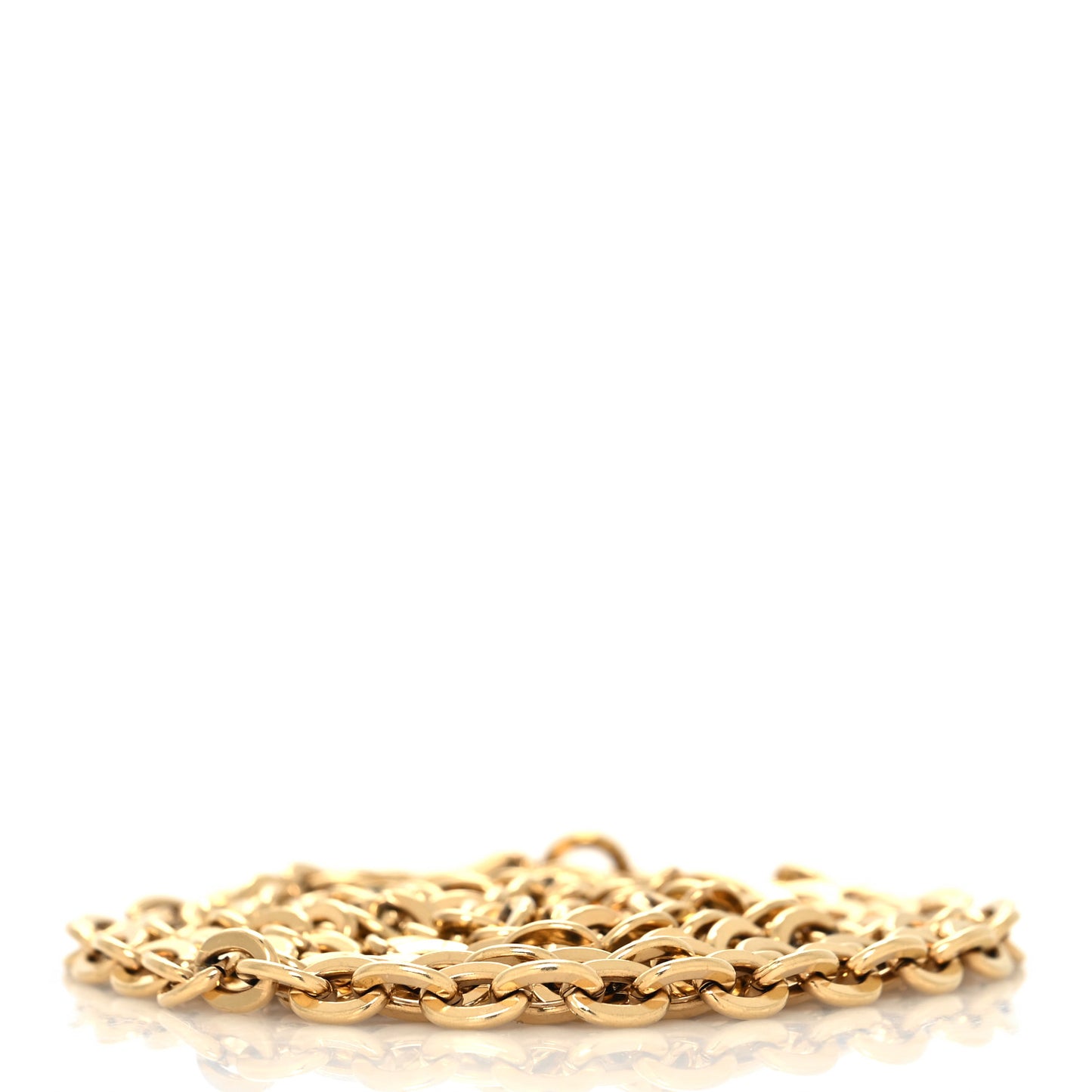 Felicie Chain Long Shoulder Strap