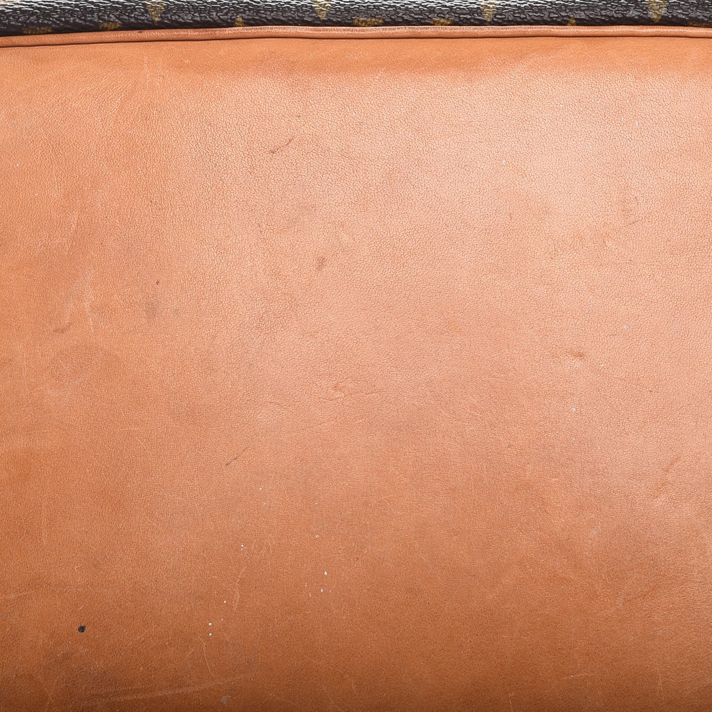 Monogram Petit Noe