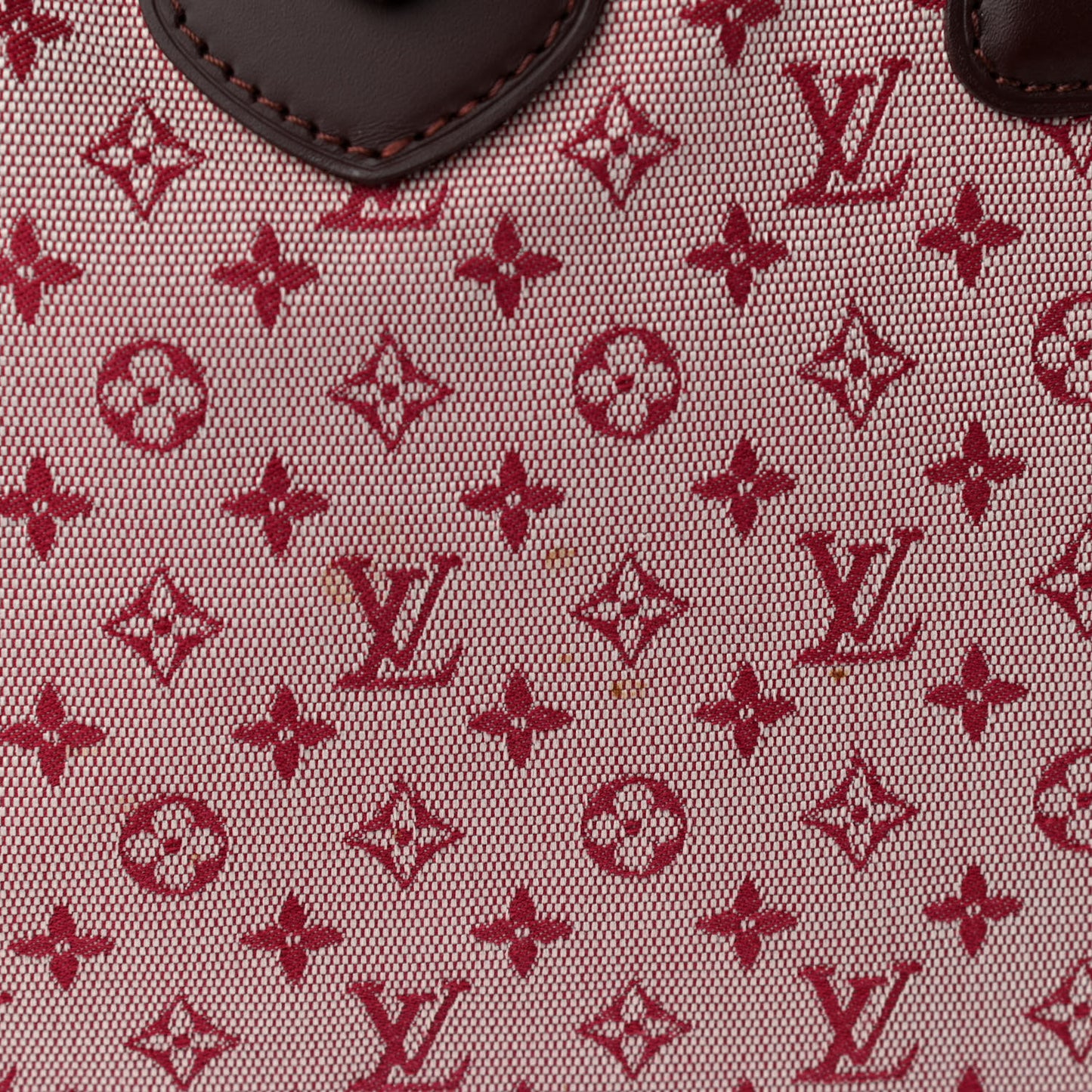 Mini Monogram Mary Kate Cabas Cherry
