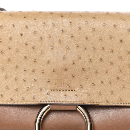 Chloe Ostrich Calfskin Small Faye Shoulder Bag Light Brown 10 of 13