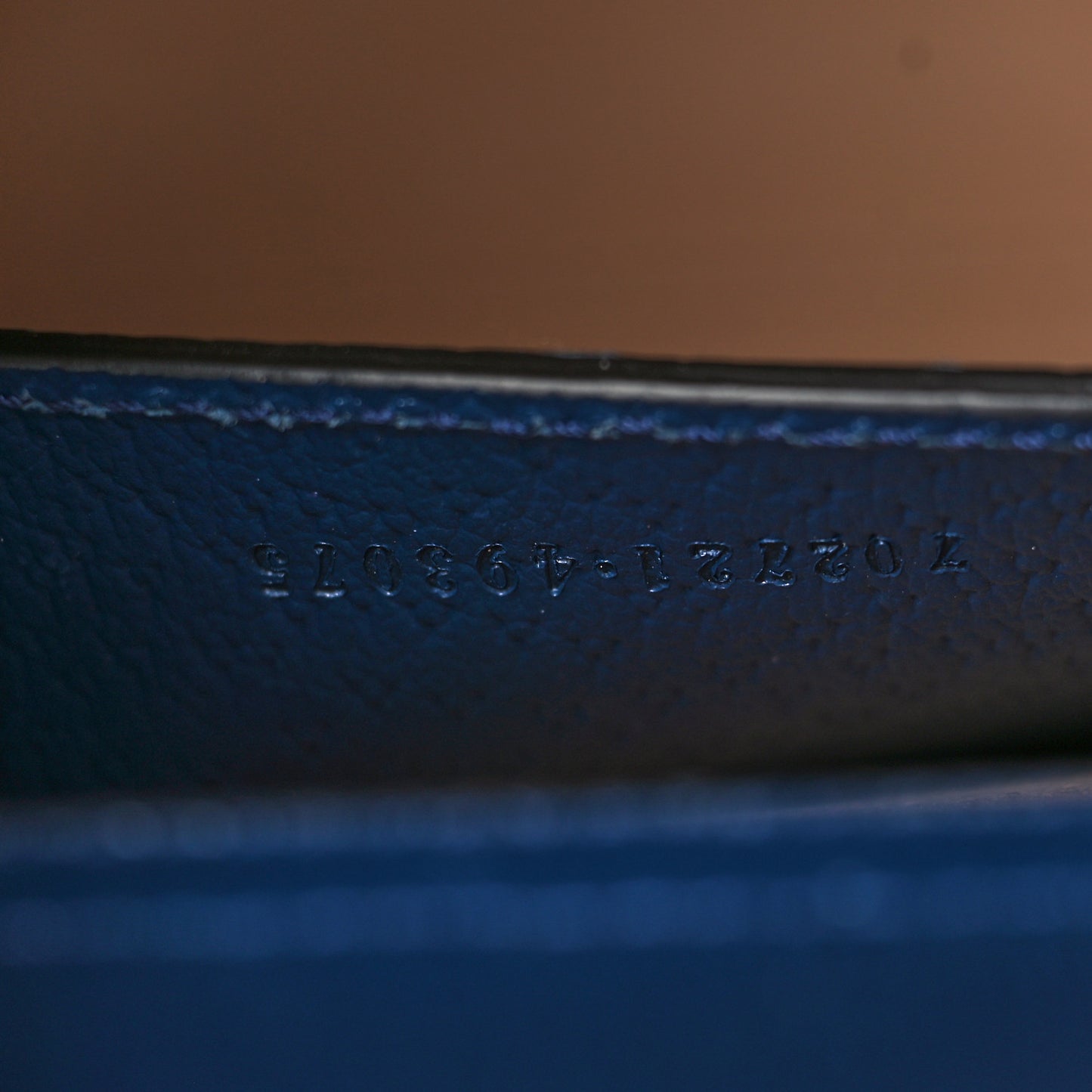 Textured Dollar Calfskin Web Small Diana Tote Bag Royal Crop