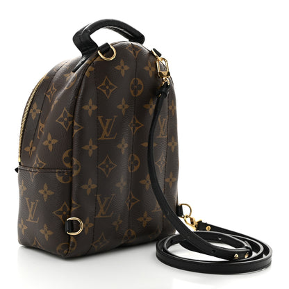 Louis Vuitton Monogram Palm Springs Backpack Mini 3 of 10