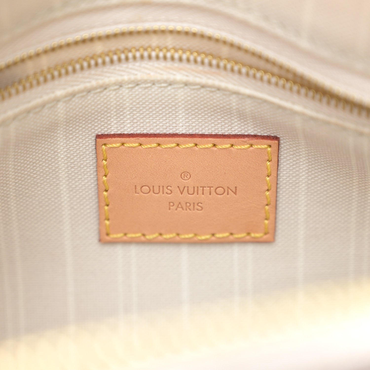 Louis Vuitton Monogram Giant By The Pool Speedy Bandouliere 25 Brume 6 of 11