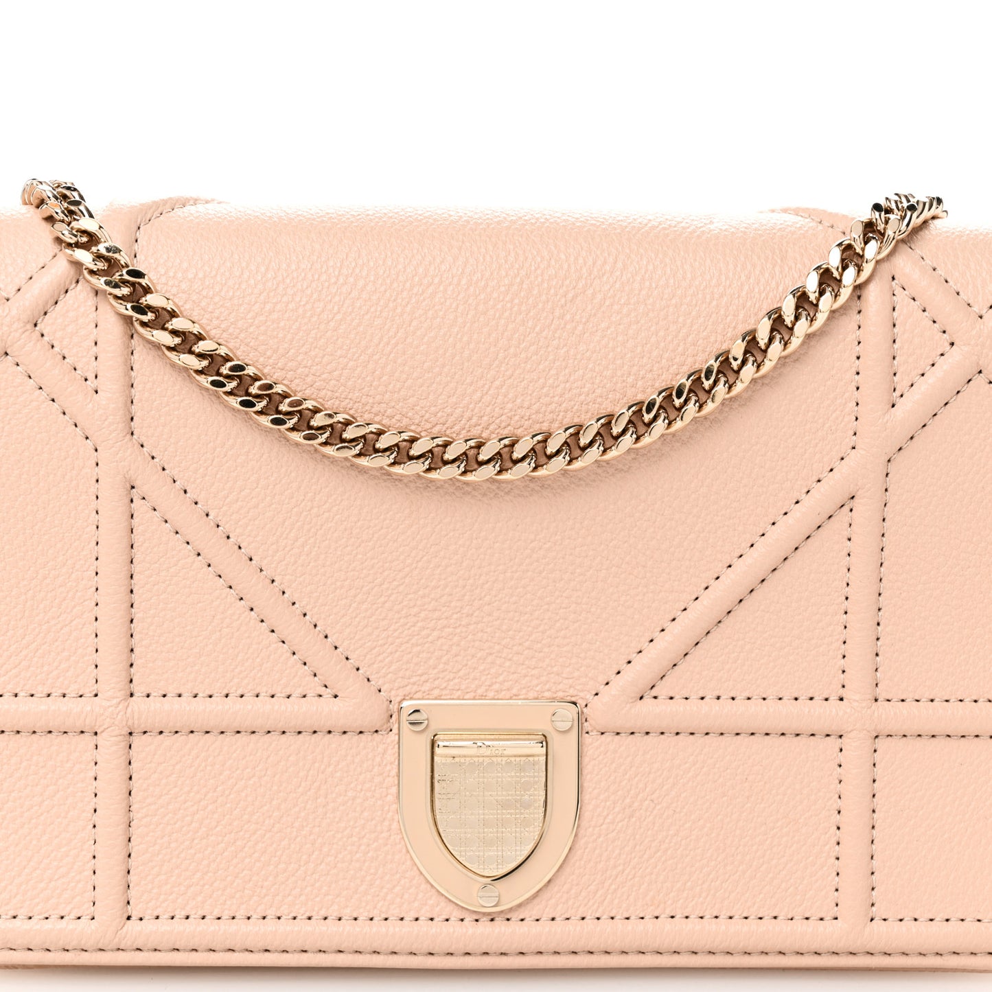 Grained Calfskin Diorama Wallet on Chain Pouch Nude