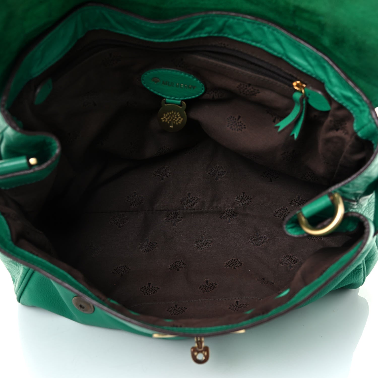 Mulberry Soft Buffalo Medium Alexa Aqua Green 4 of 4