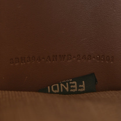 Fendi Paglia Chicco Riso Vitello Grace Logo Embroidered Small Fendi Sunshine Shopper Tote Alchemy Gianduia 8 of 12