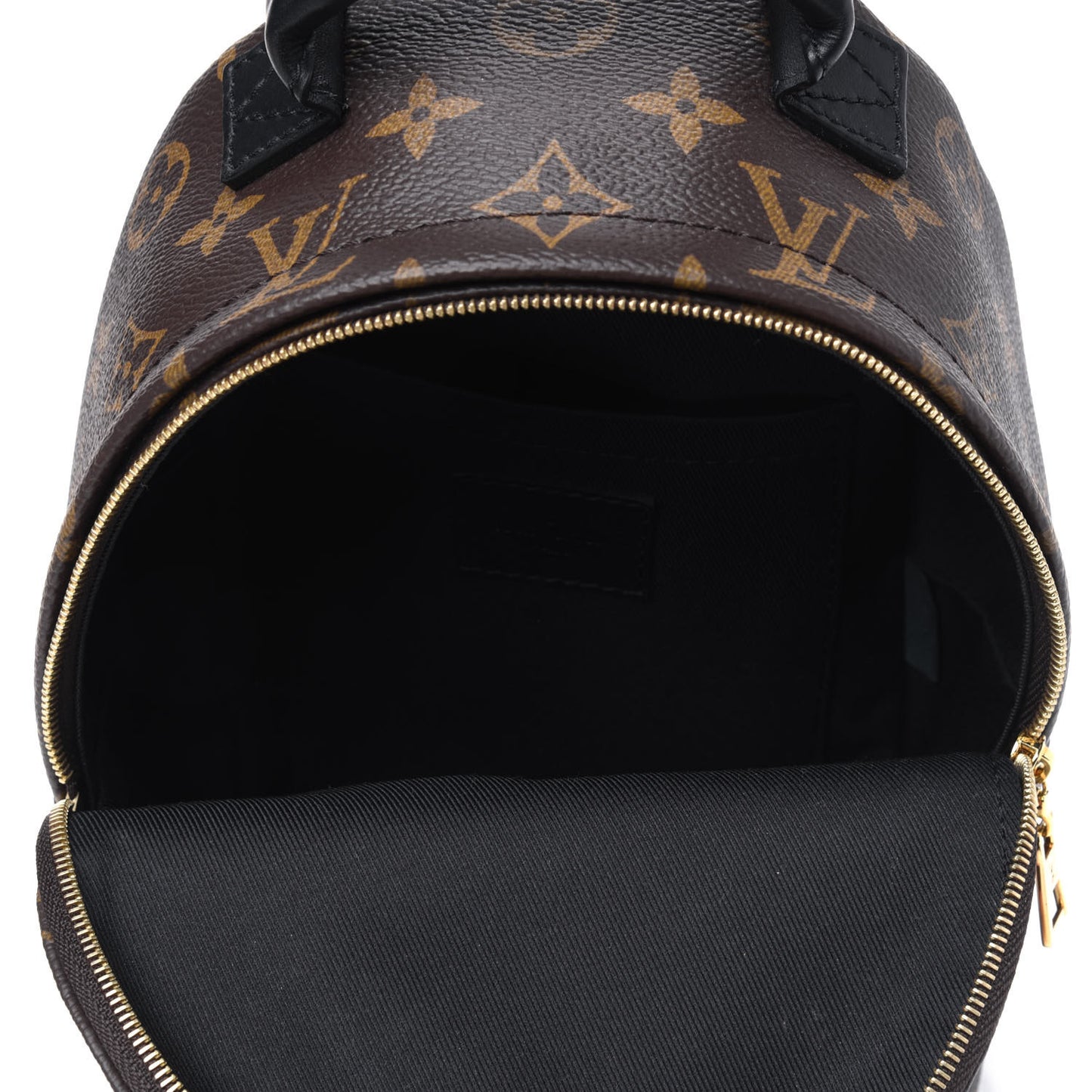 Monogram Palm Springs Backpack Mini