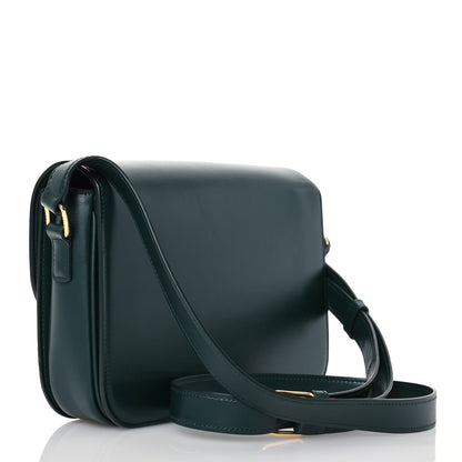 Celine Shiny Calfskin Medium Triomphe Amazone 3 of 18