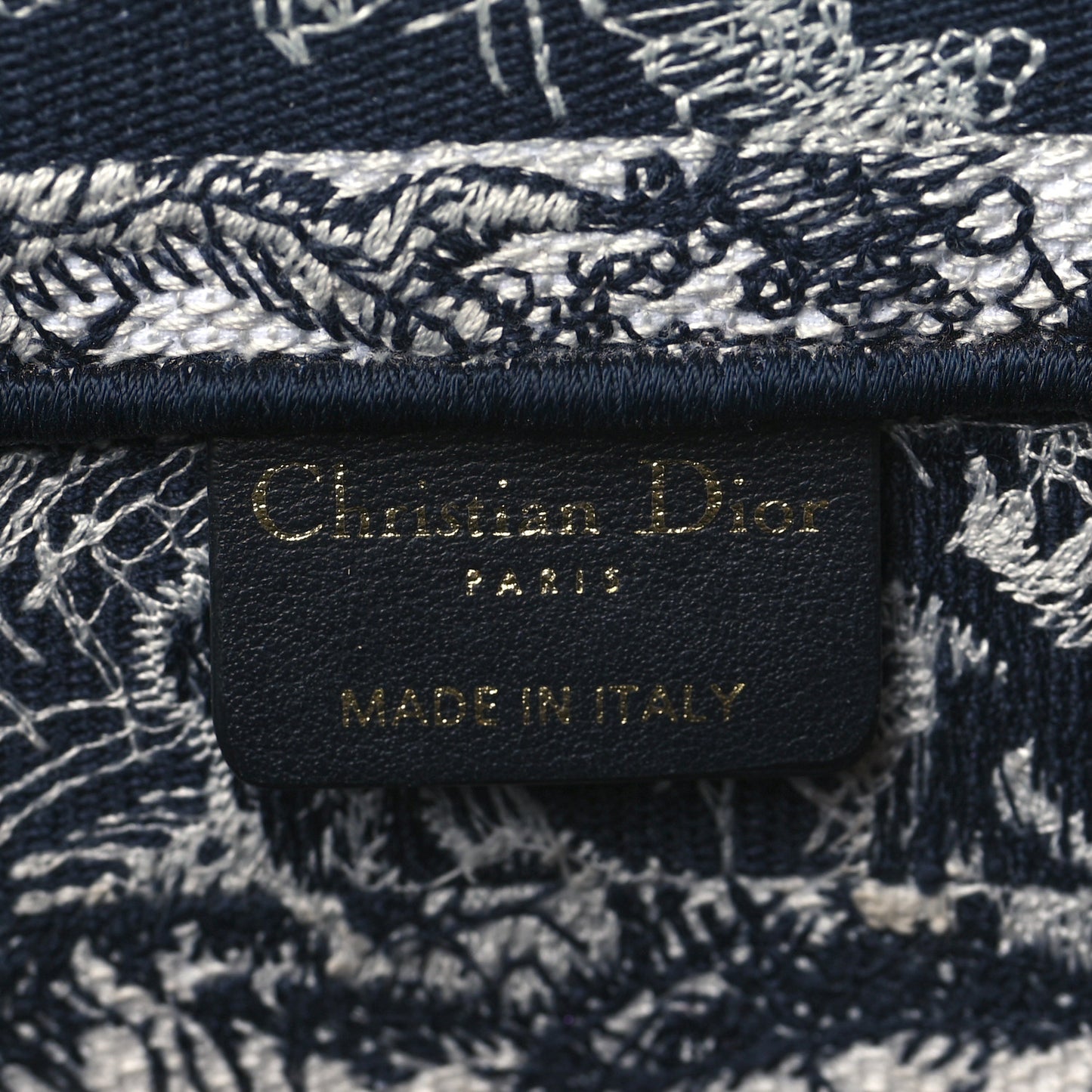 Canvas Embroidered Small Dioriviera Toile De Jouy Book Tote Blue