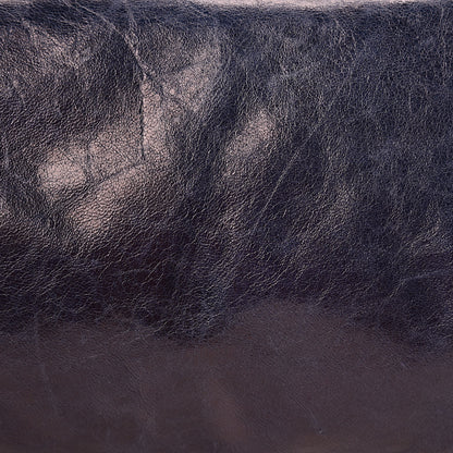 Balenciaga Chevre Classic Hardware Twiggy Ink 15 of 15