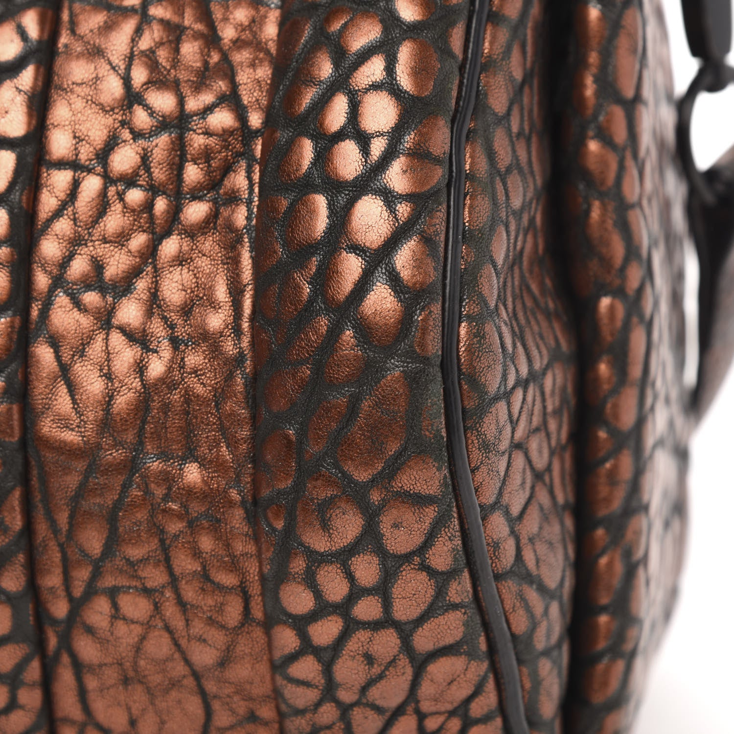 Alexander Wang Metallic Pebbled Lambskin Rockie Bronze Black Hardware 10 of 13