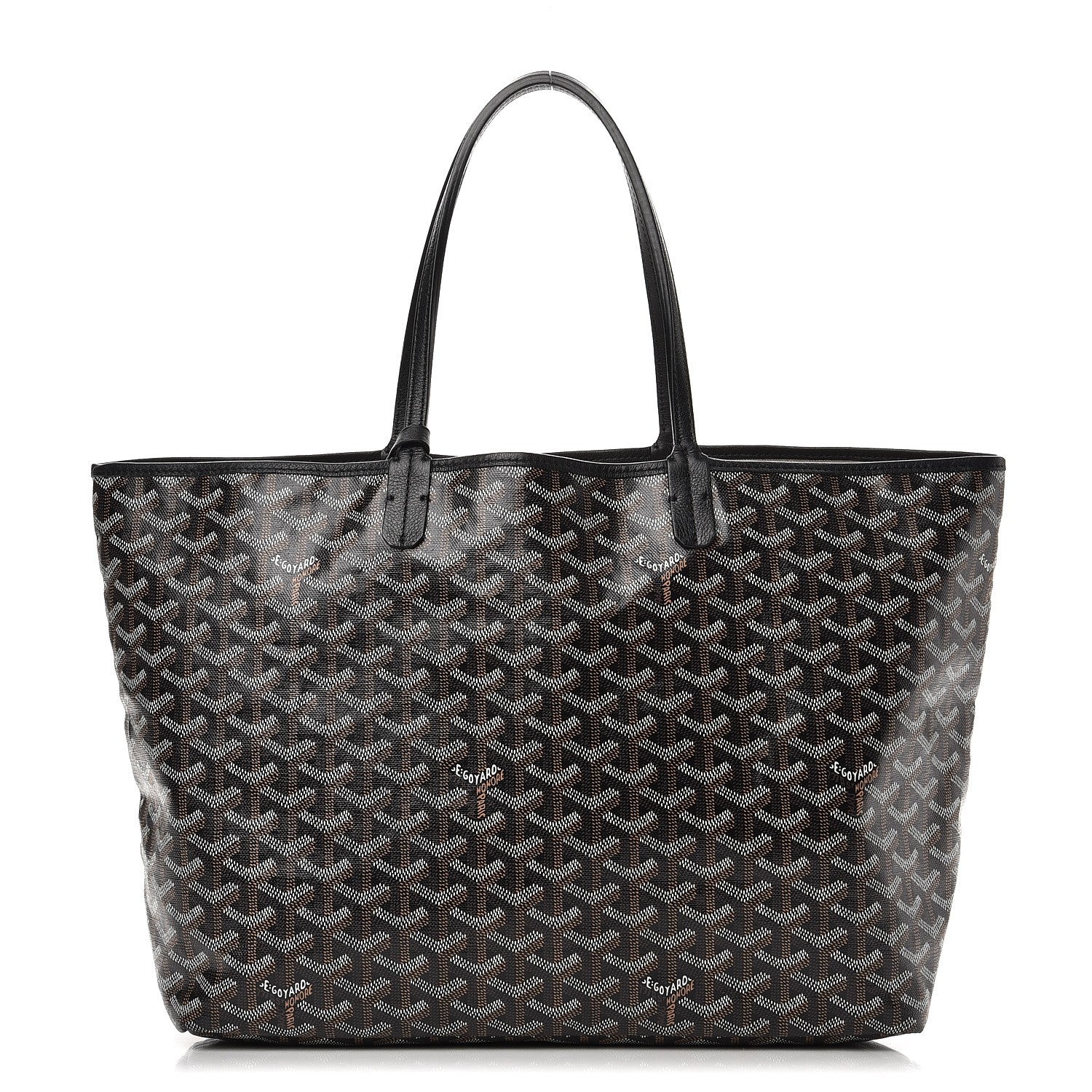 Goyard Goyardine Saint Louis PM Black 1 of 10