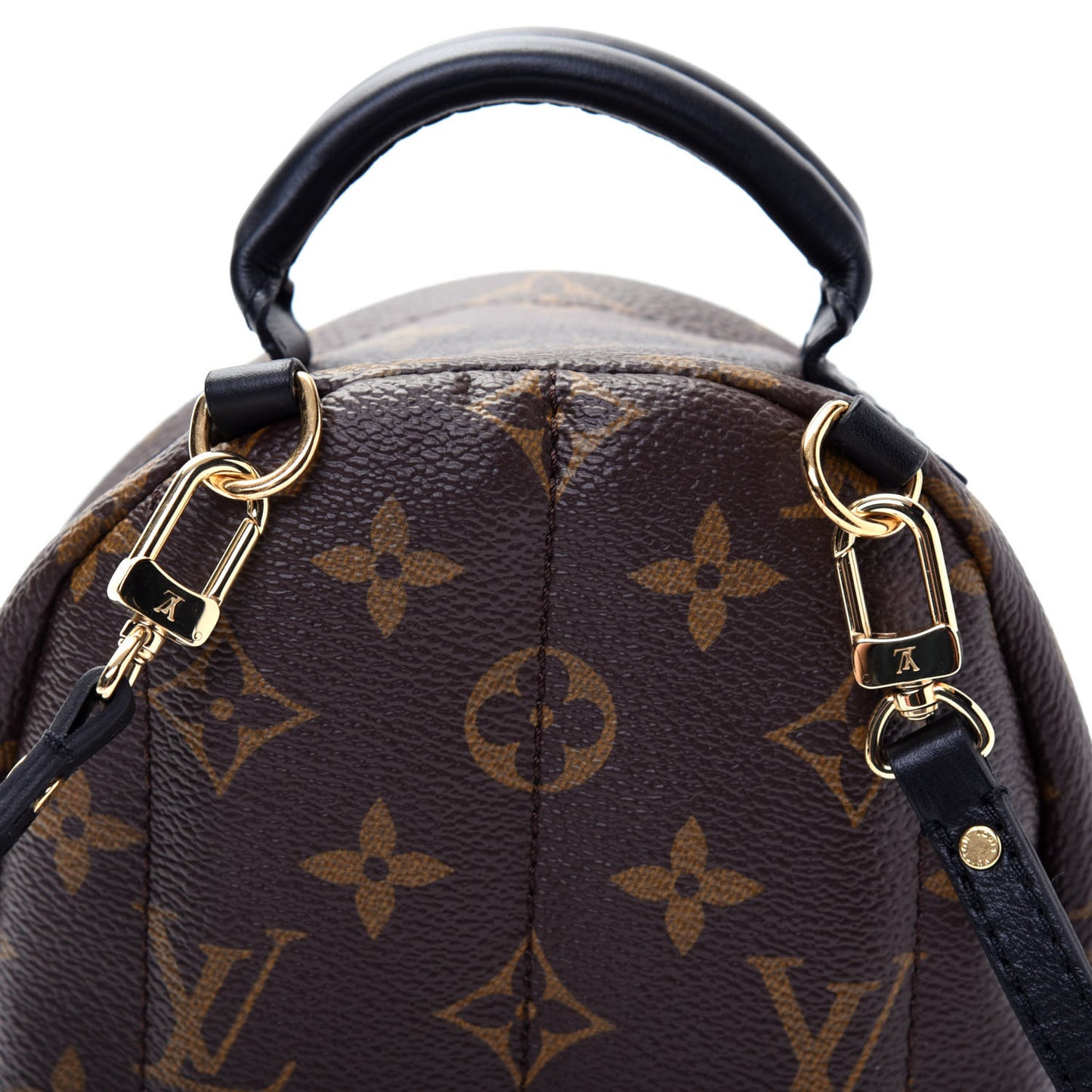 Monogram Palm Springs Backpack Mini