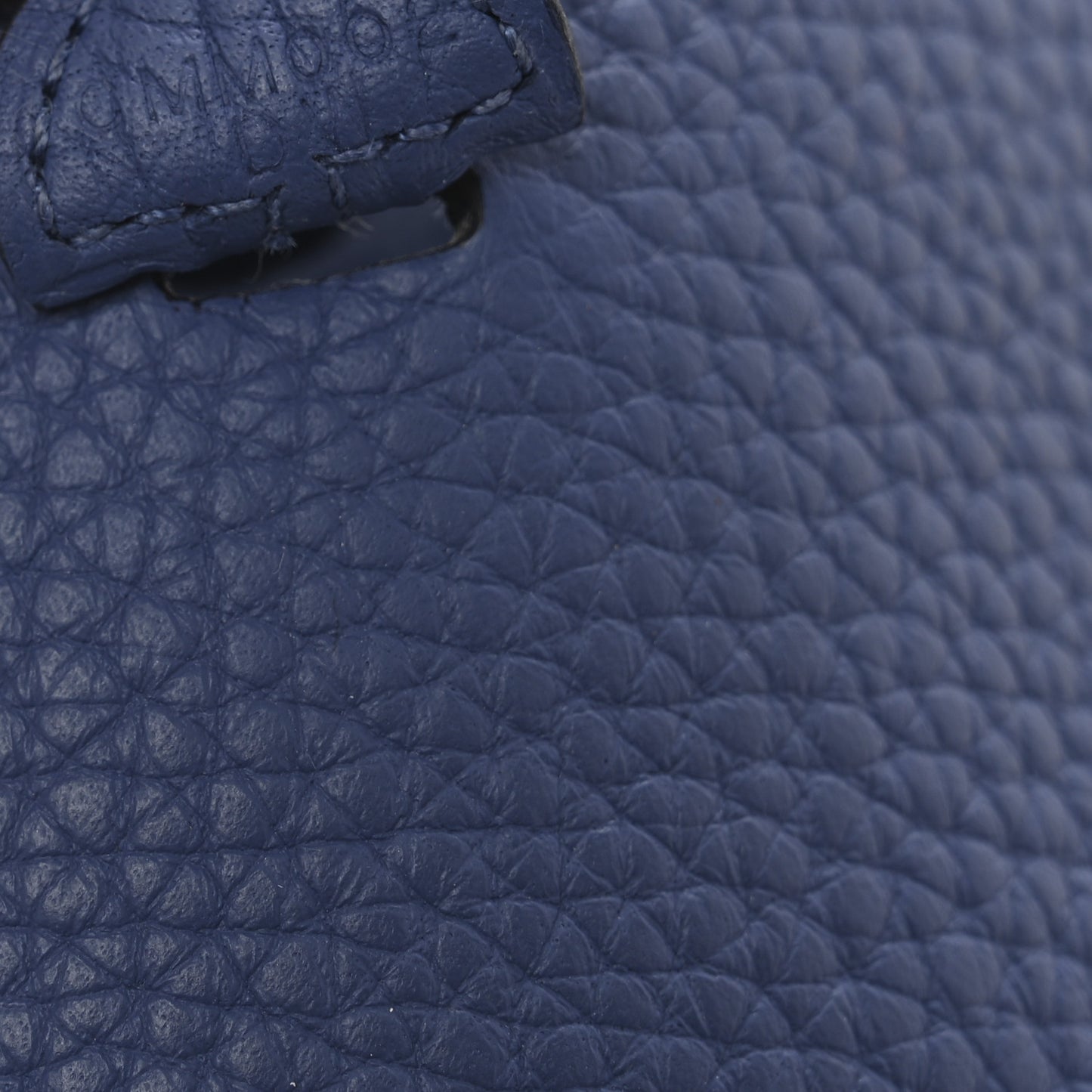 Taurillon Clemence Evelyne TPM Bleu Brighton