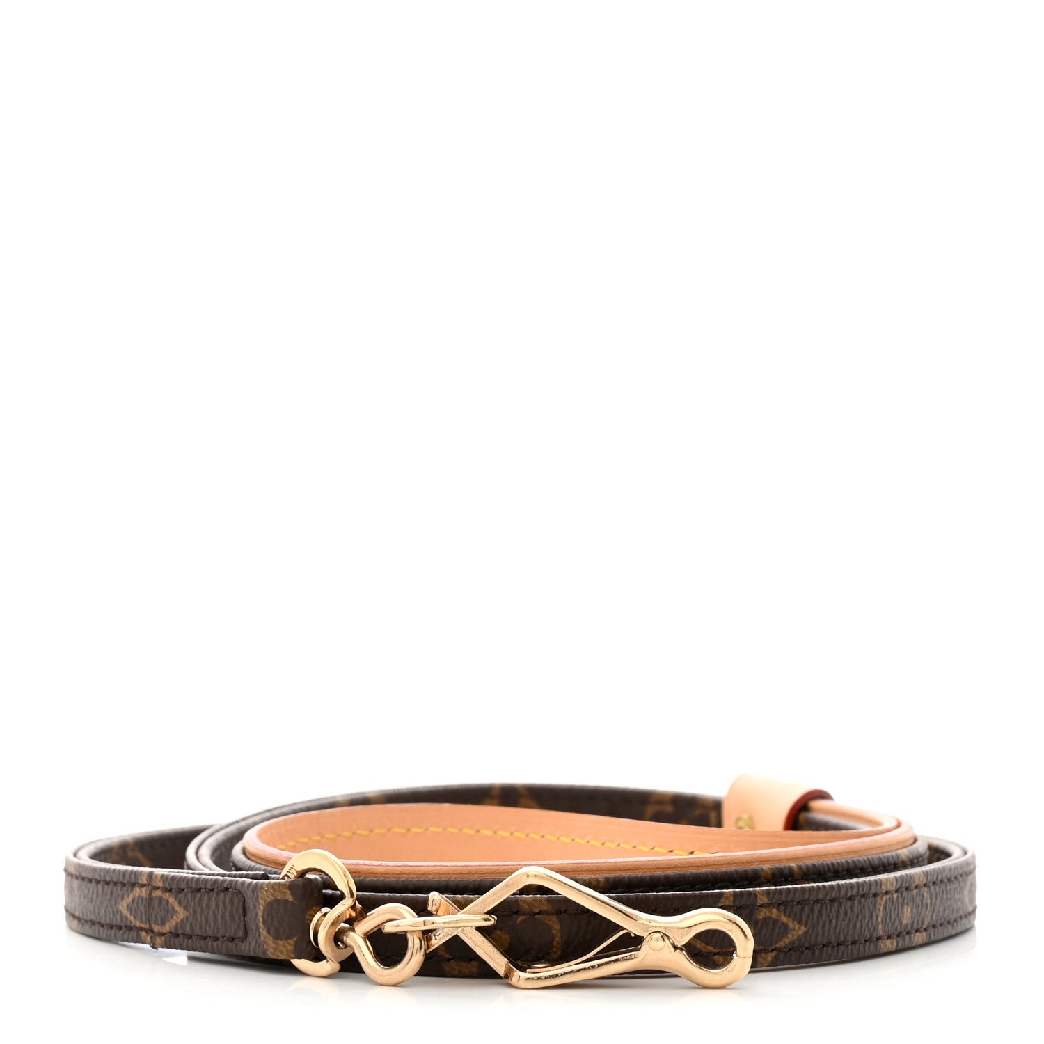 Louis Vuitton Monogram Baxter Dog Leash MM 1 of 6