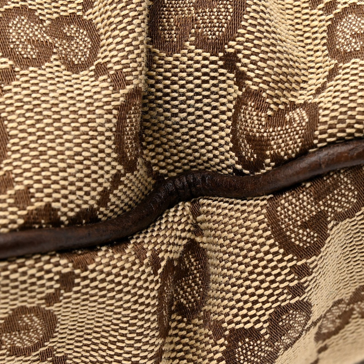 Monogram Large Princy Hobo Dark Brown