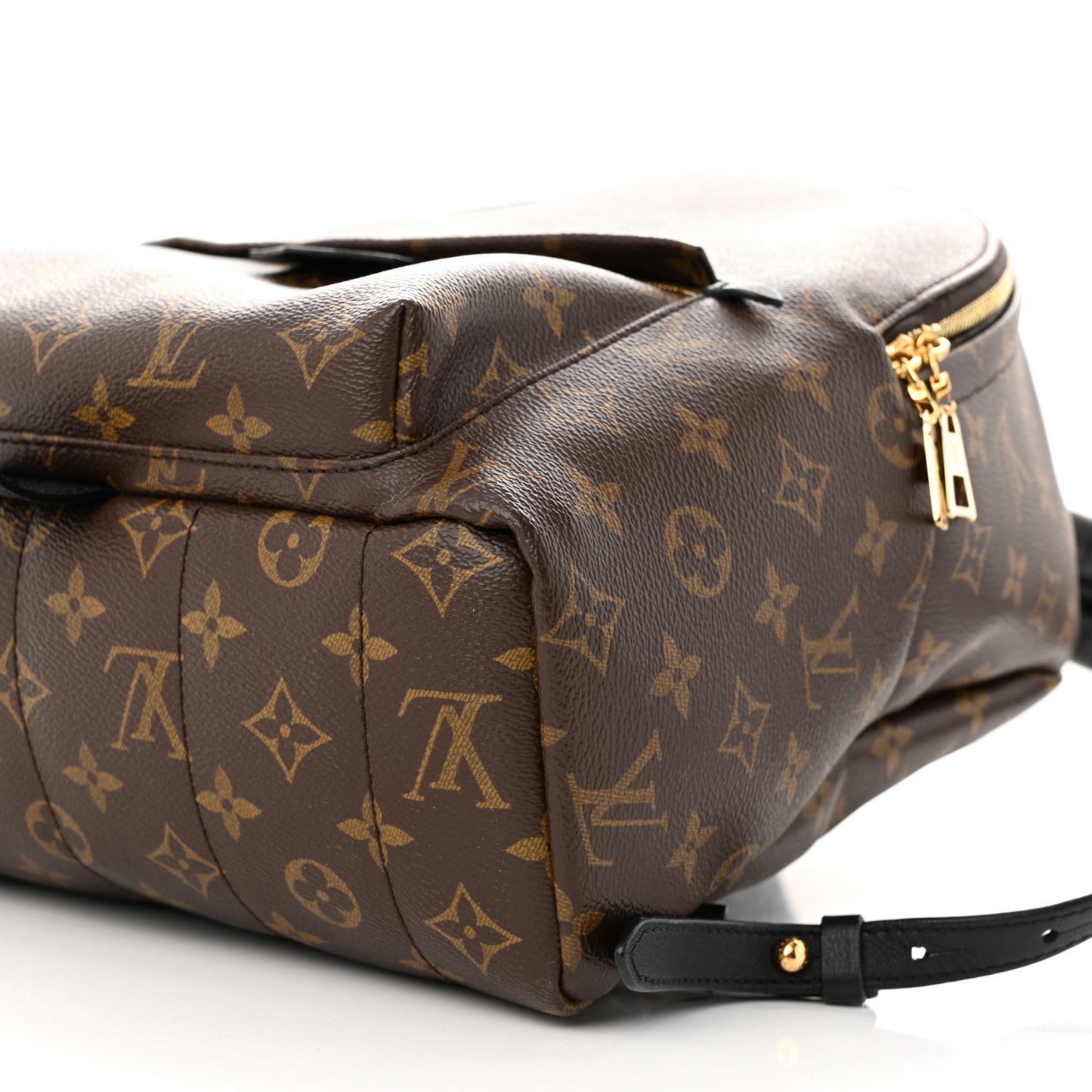 Monogram Palm Springs Backpack MM