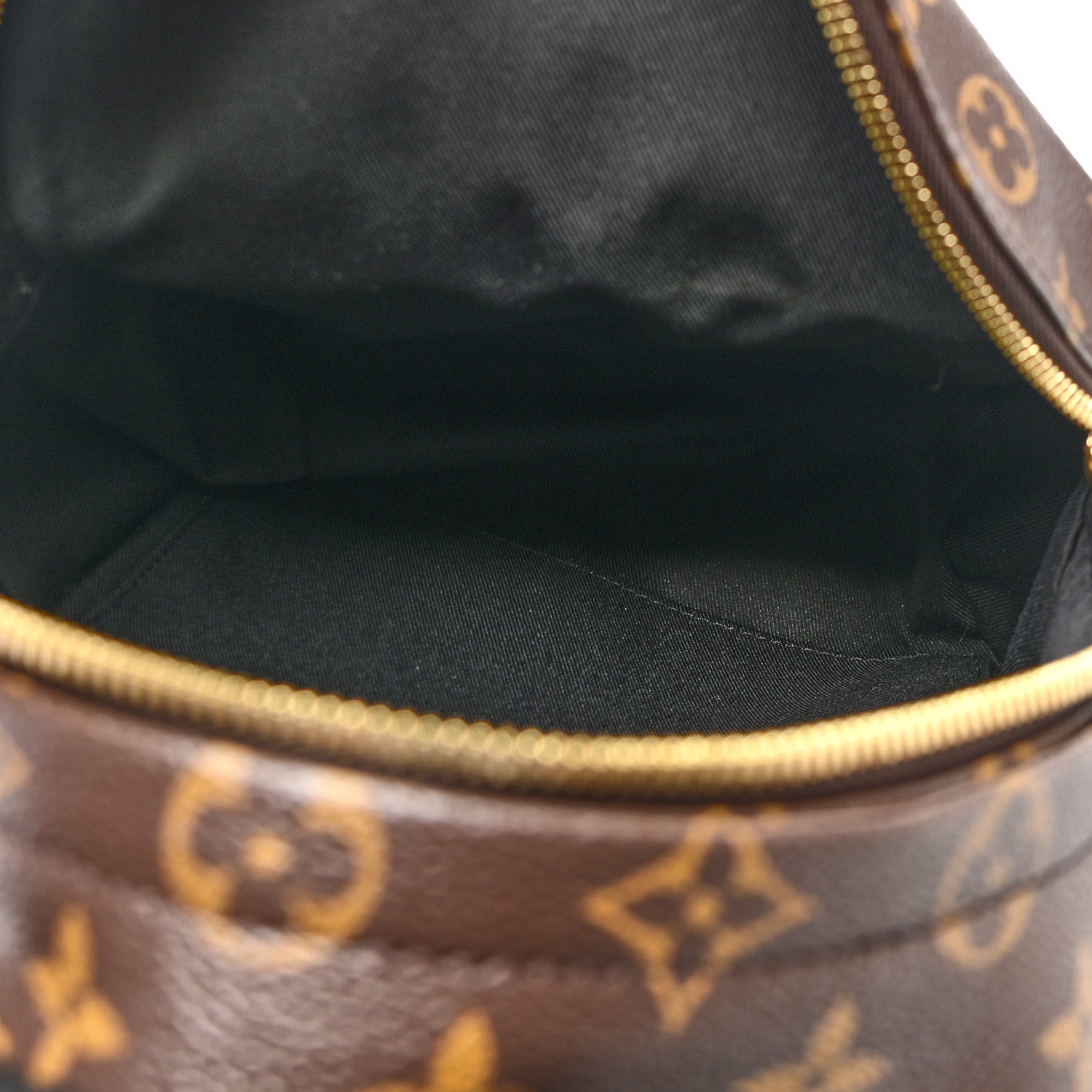 Louis Vuitton Monogram Palm Springs Backpack PM 5 of 9