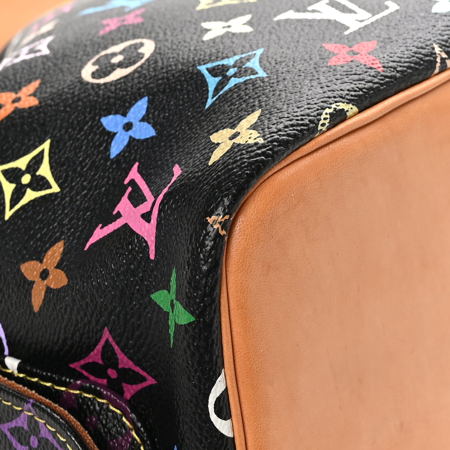Monogram Multicolor Petit Noe Black