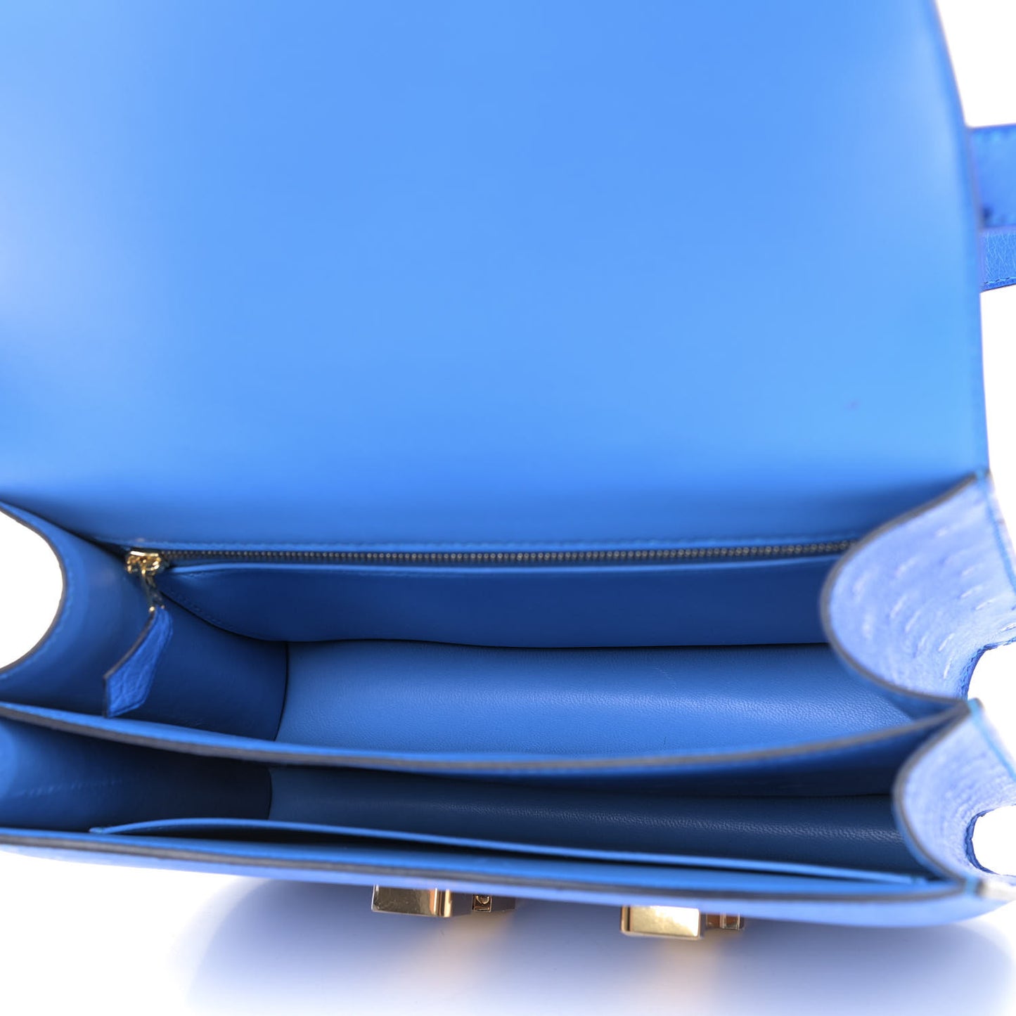 Ostrich Constance 24 Bleuet