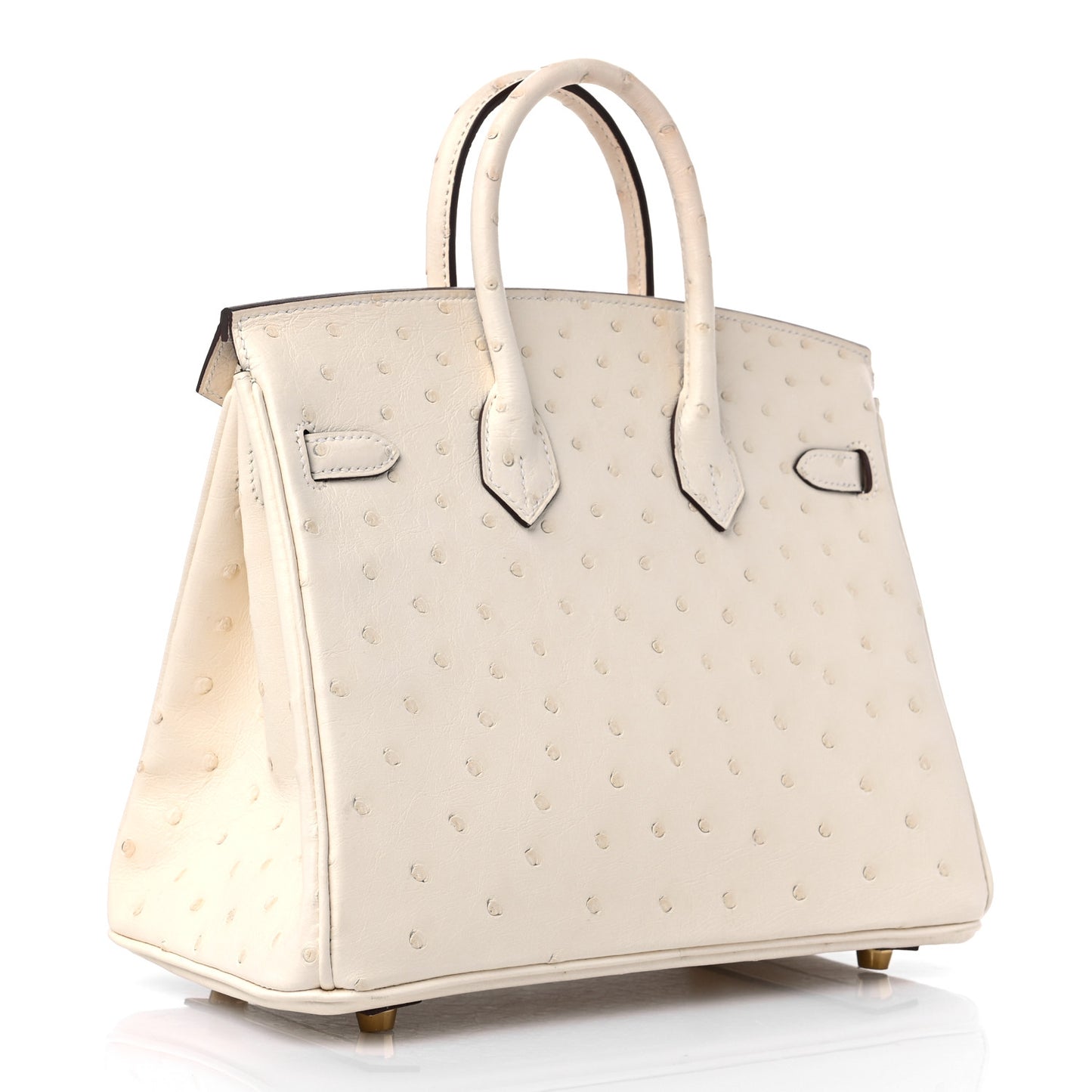 Ostrich Birkin 25 Nata