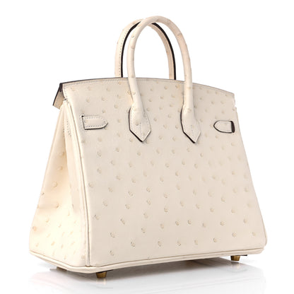 Hermes Ostrich Birkin 25 Nata 3 of 9