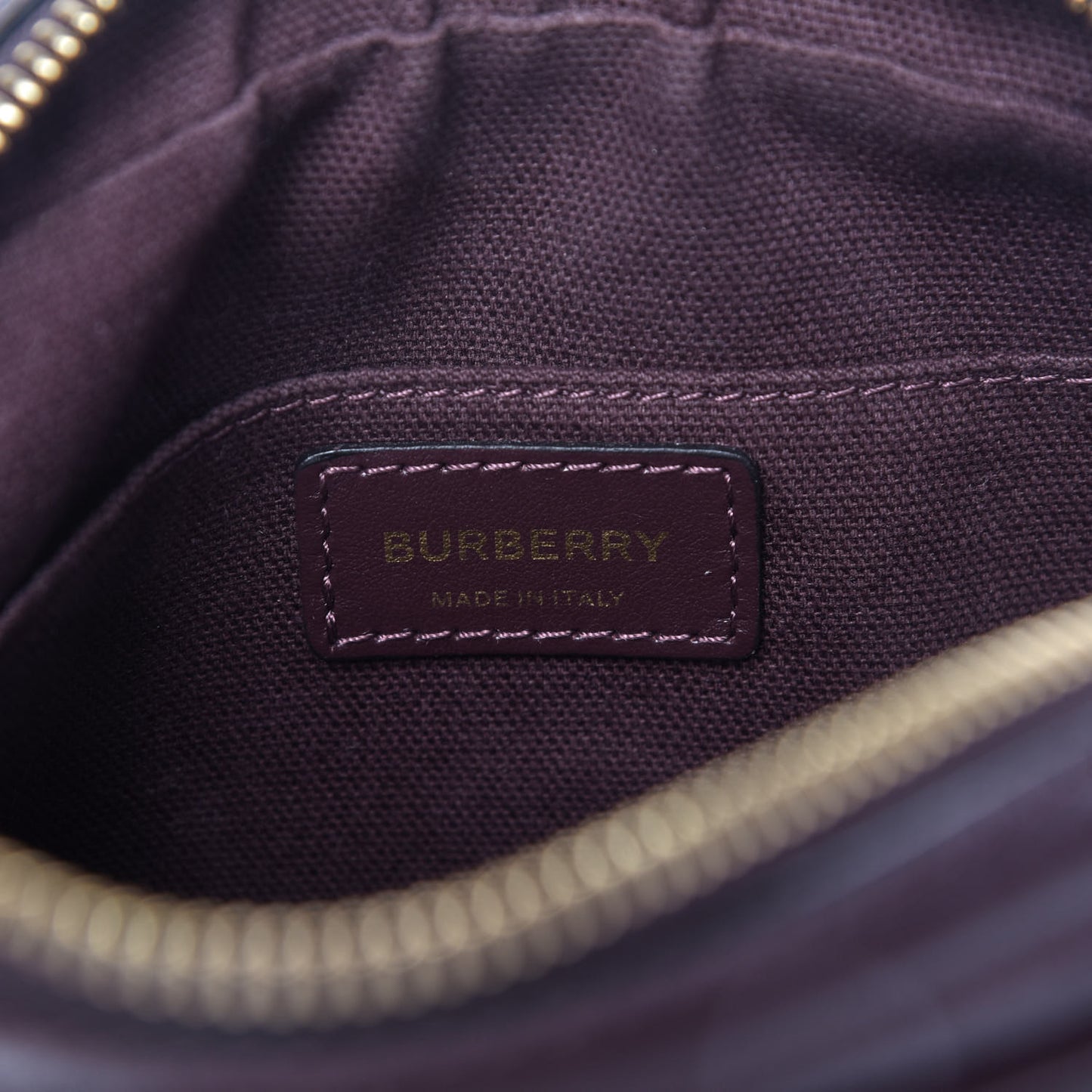 Calfskin Embossed Monogram Camera Chain Bag Dark Burgundy