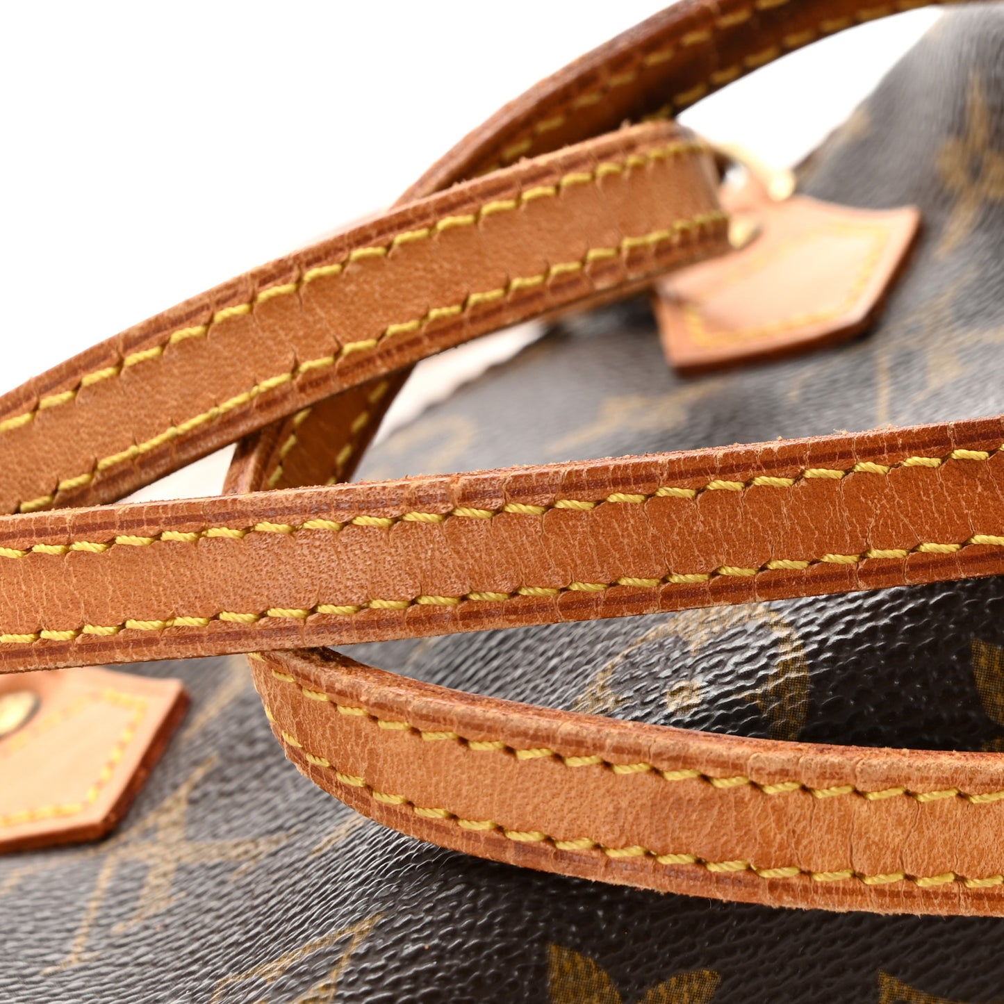 Monogram Mini Sac HL Speedy