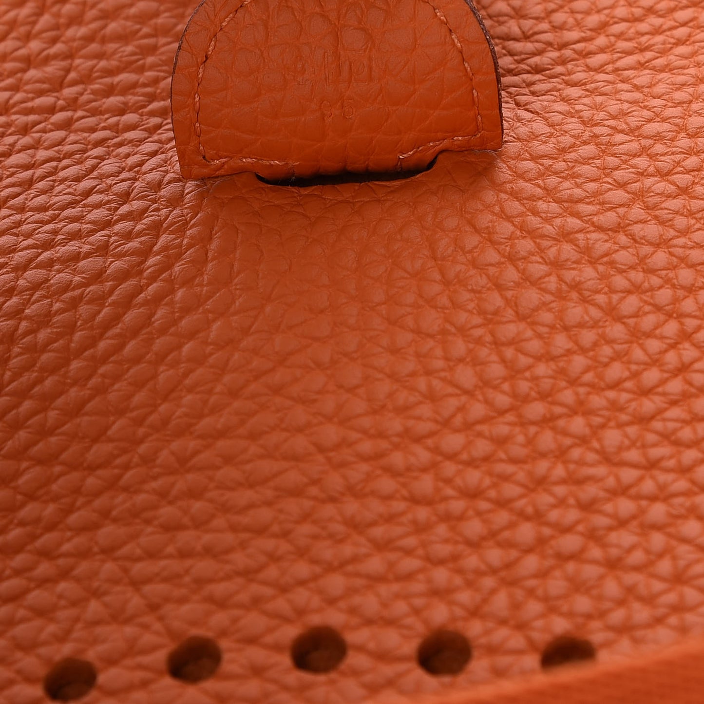 Taurillon Clemence Evelyne III GM Orange