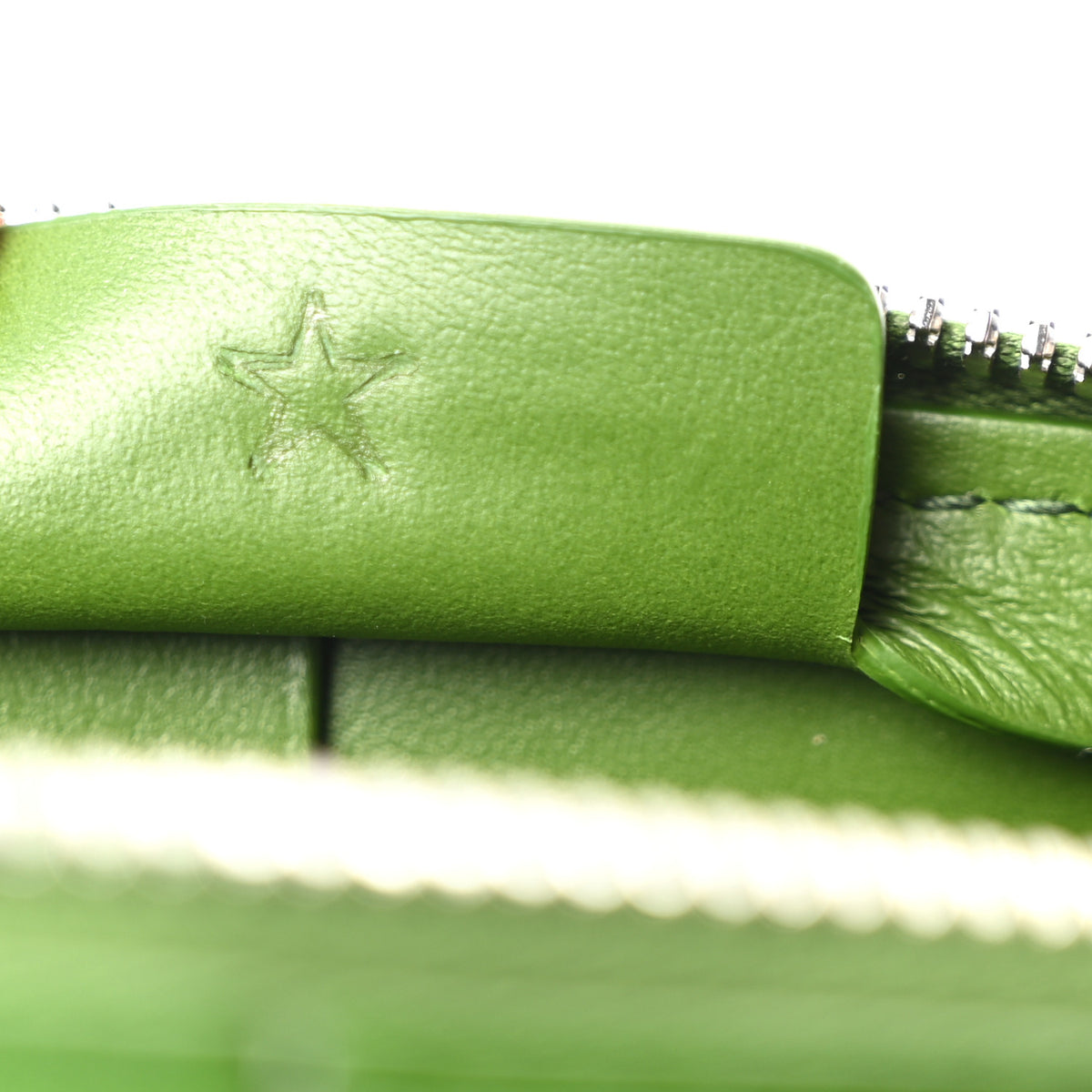 Bottega Veneta Calfskin Maxi Intrecciato Cassette Camera Bag Avocado 7 of 10
