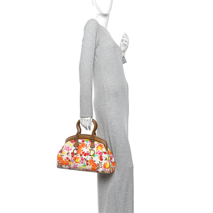 Christian Dior Canvas Floral Frame Satchel 2 of 10