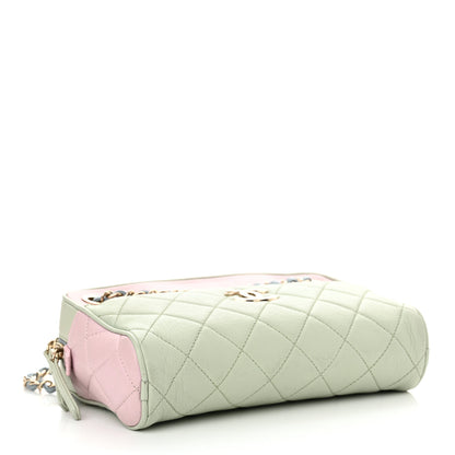 Chanel Goatskin Quilted Tri-Color Small In & Out Camera Case Green Blue Pink 5 of 12