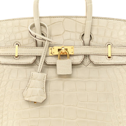 Hermes Matte Alligator Birkin 25 Beton 8 of 22