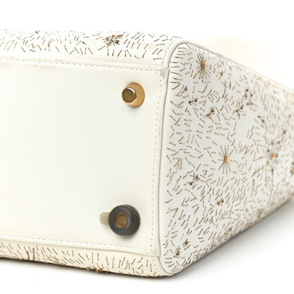 Christian Dior Smooth Calfskin Embroidered The Moon in My Eyes Medium Lady Dior White 7 of 13