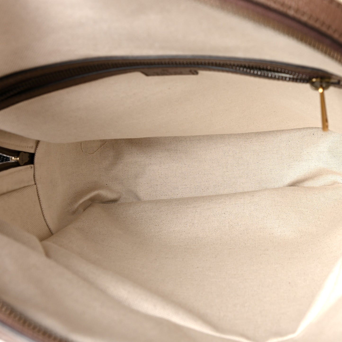 GG Supreme Monogram Medium Ophidia Day Backpack Brown