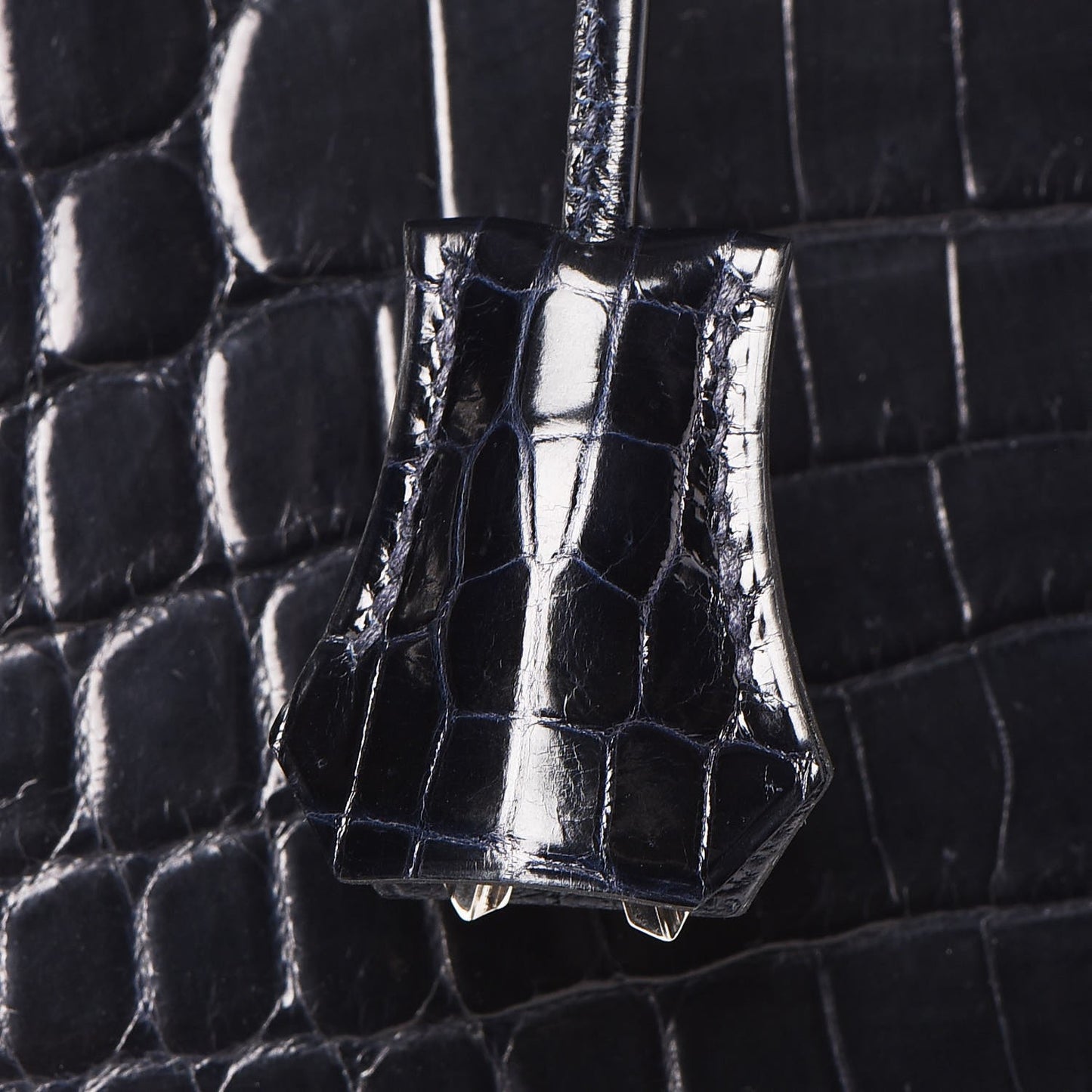Shiny Niloticus Crocodile Kelly Sellier 32