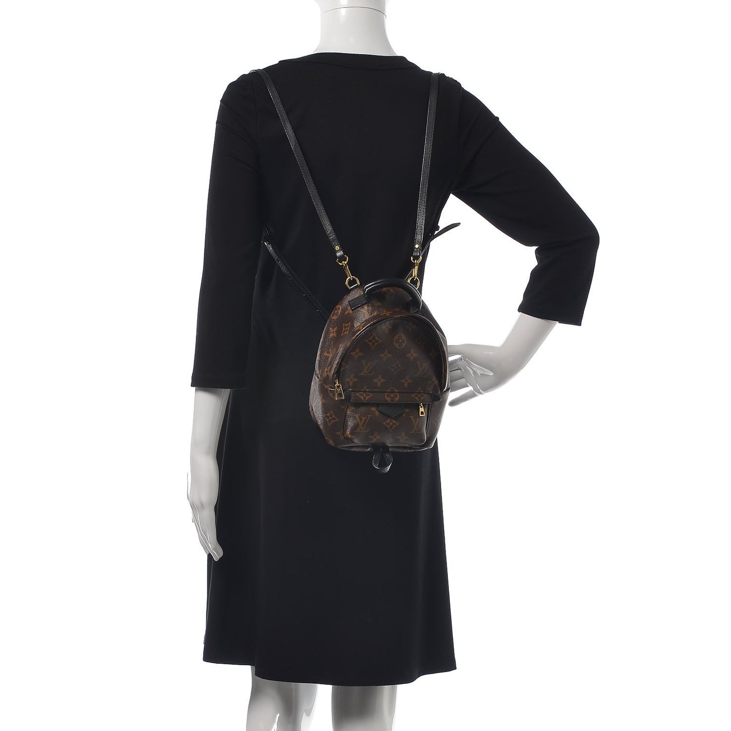 Monogram Palm Springs Backpack Mini