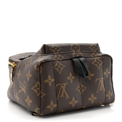 Louis Vuitton Monogram Palm Springs Backpack Mini 4 of 13