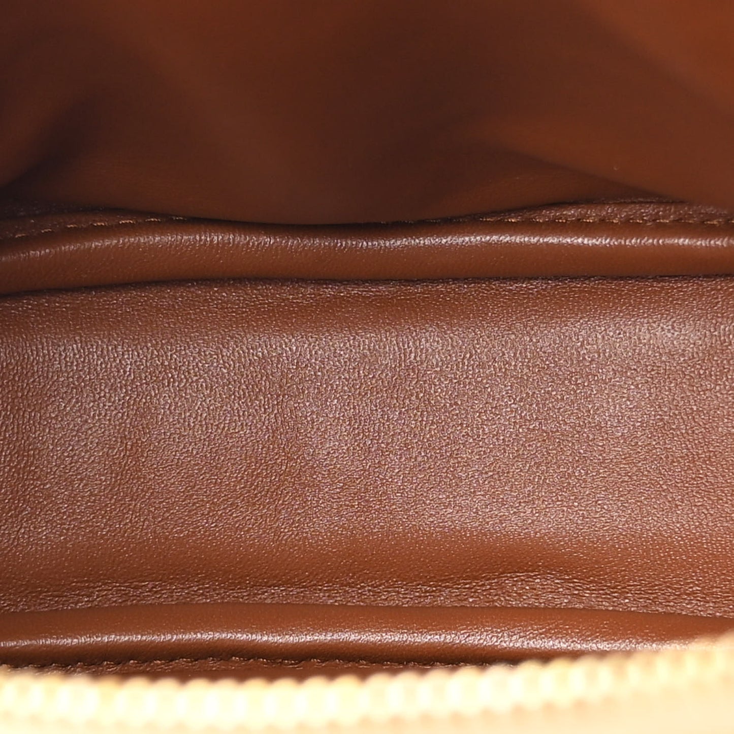 Raffia Calfskin Round Camera Bag Golden Ecru Brick