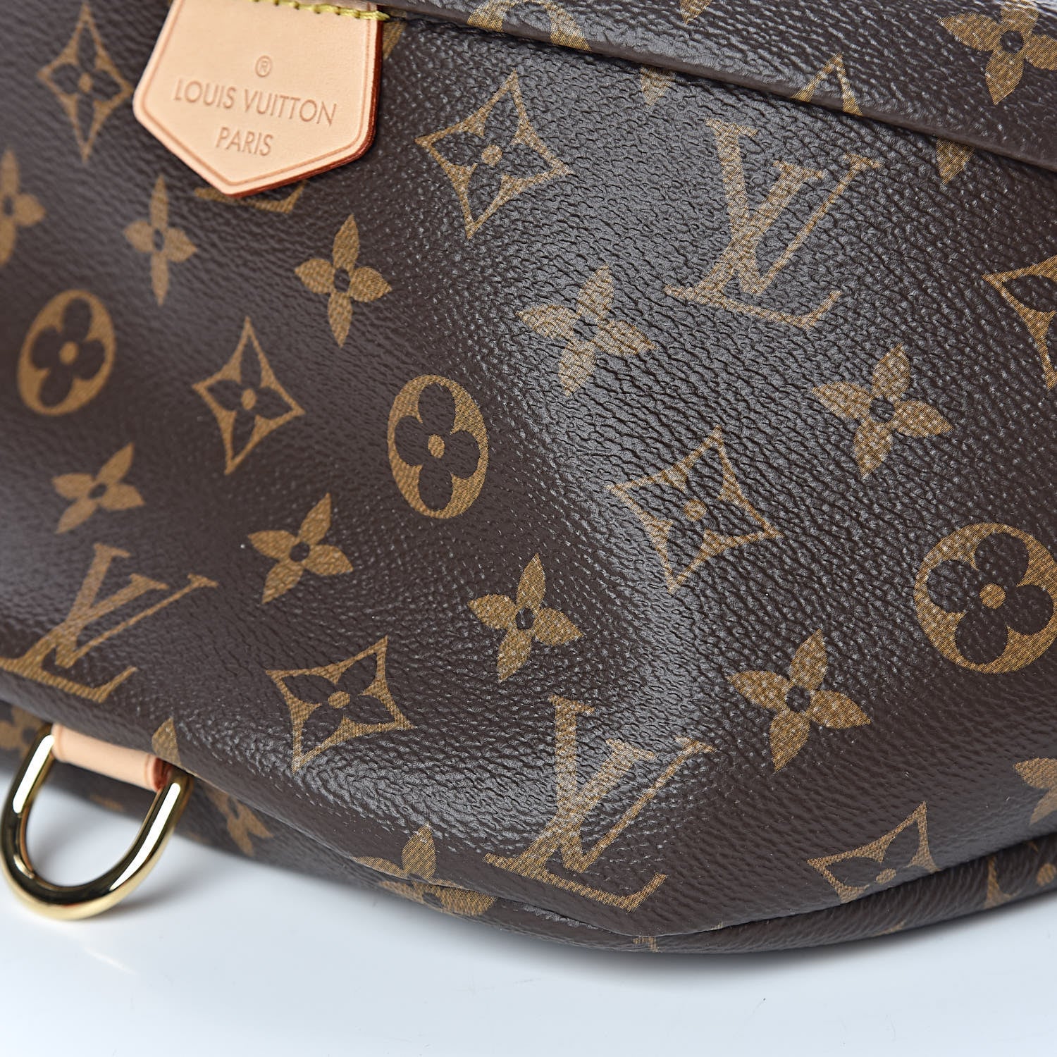 Louis Vuitton Monogram Bumbag 6 of 11