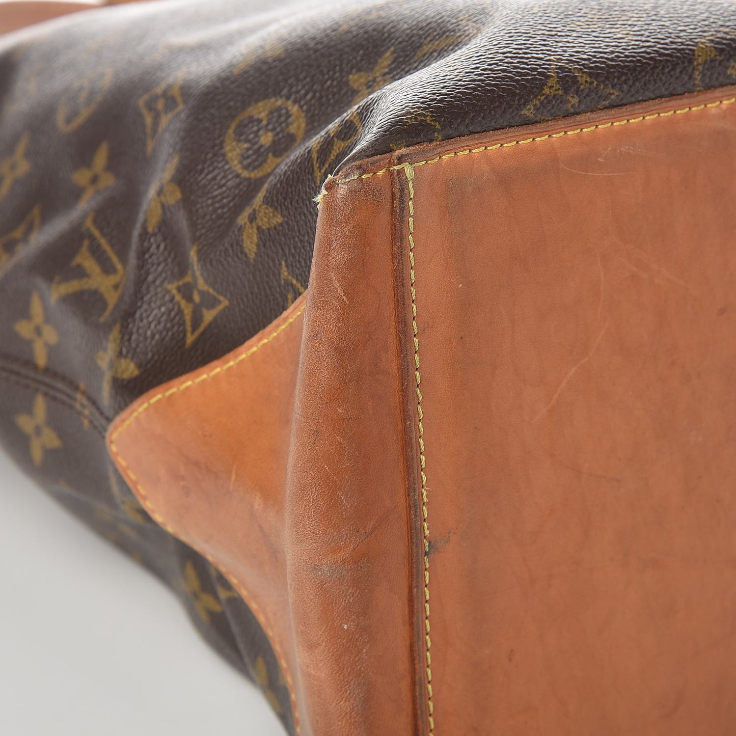 Monogram Cabas Mezzo