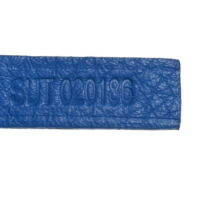 Goyard Goyardine Saint Louis GM Sky Blue 8 of 11
