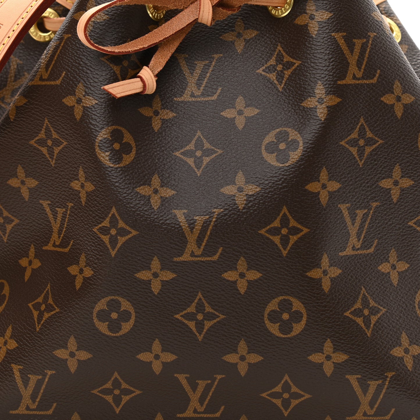 Monogram Petit Noe NM