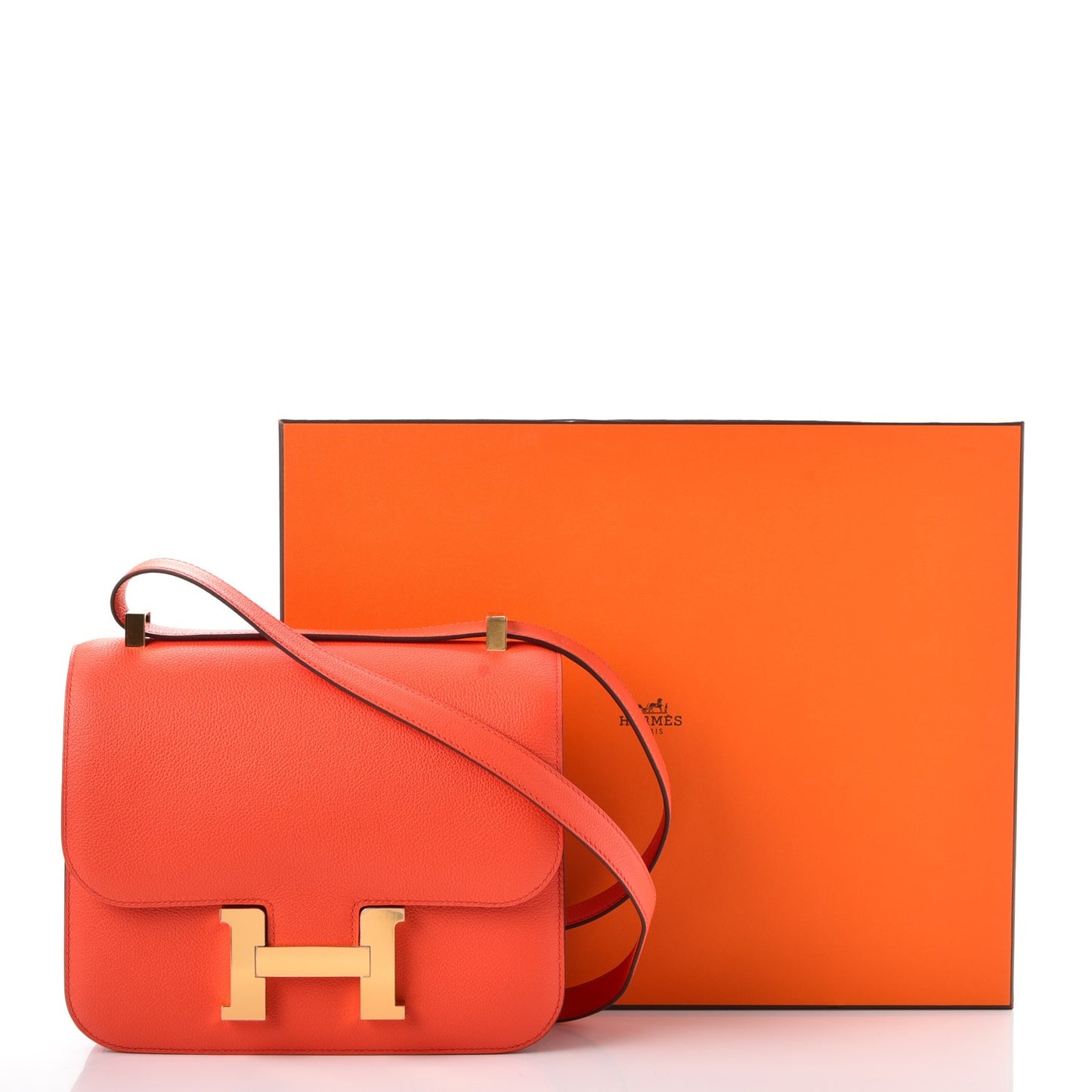 Evercolor Constance 24 Orange Poppy