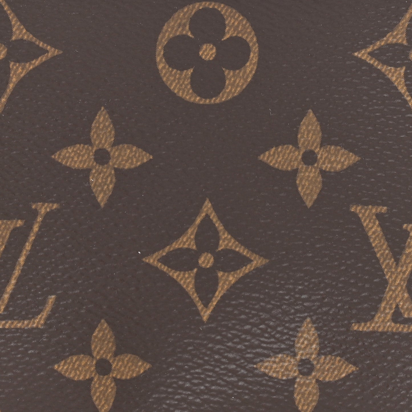 Monogram Mini Pochette Accessories