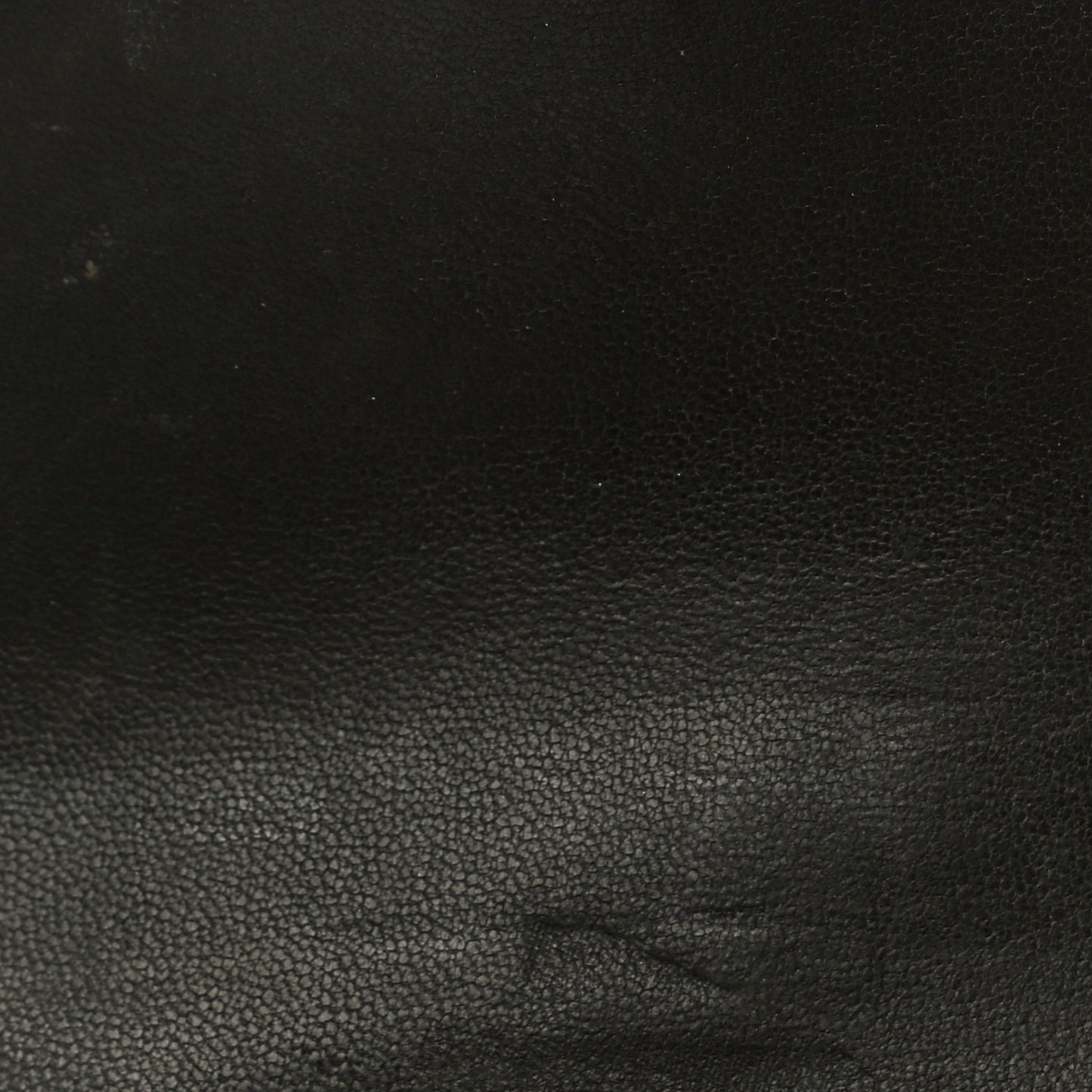 Shiny Porosus Crocodile Lydie Clutch Chocolate