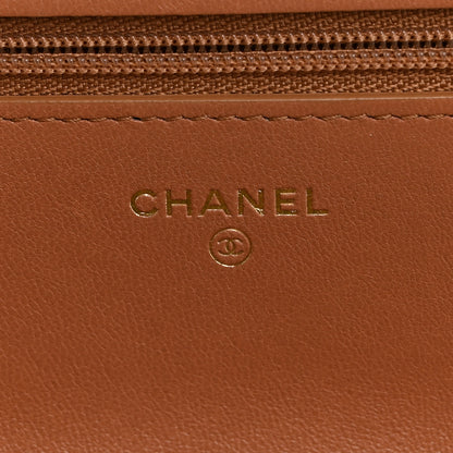 Chanel Lambskin Quilted Chanel 19 Wallet On Chain WOC Brown 6 of 12